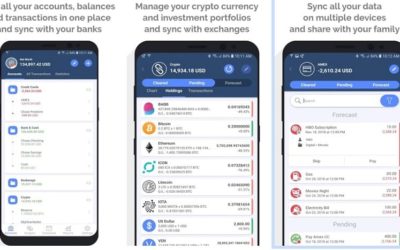 MoneyWiz, Qué es