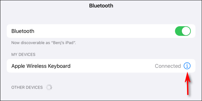 Toque el ícono de información en Mis dispositivos en Bluetooth en Configuración para iPad