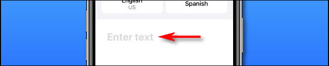 In Apple Translate on iPhone, tap the "Enter text" area to input text to translate.