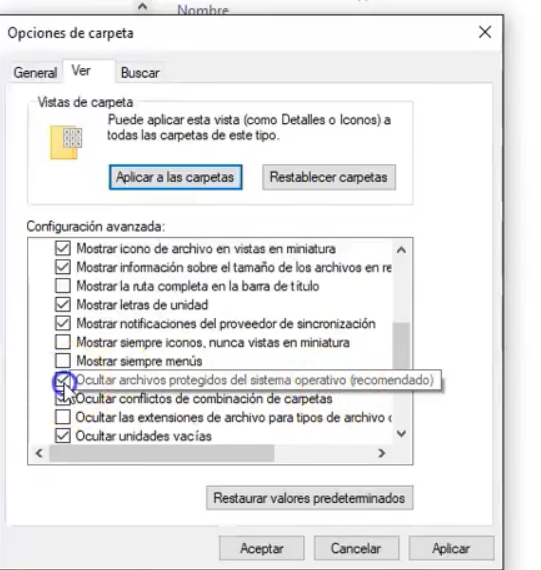Pasted into Como mostrar archivos y carpetas ocultas en Windows 10