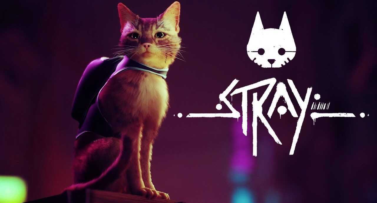Stray: lanzó el juego con una nueva fecha de lanzamiento