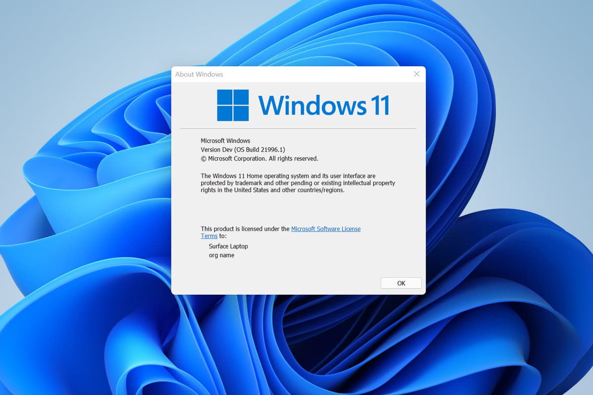 Microsoft puede eliminar los requisitos de CPU de Windows 11 a los procesadores Intel Skylake de sexta generación
